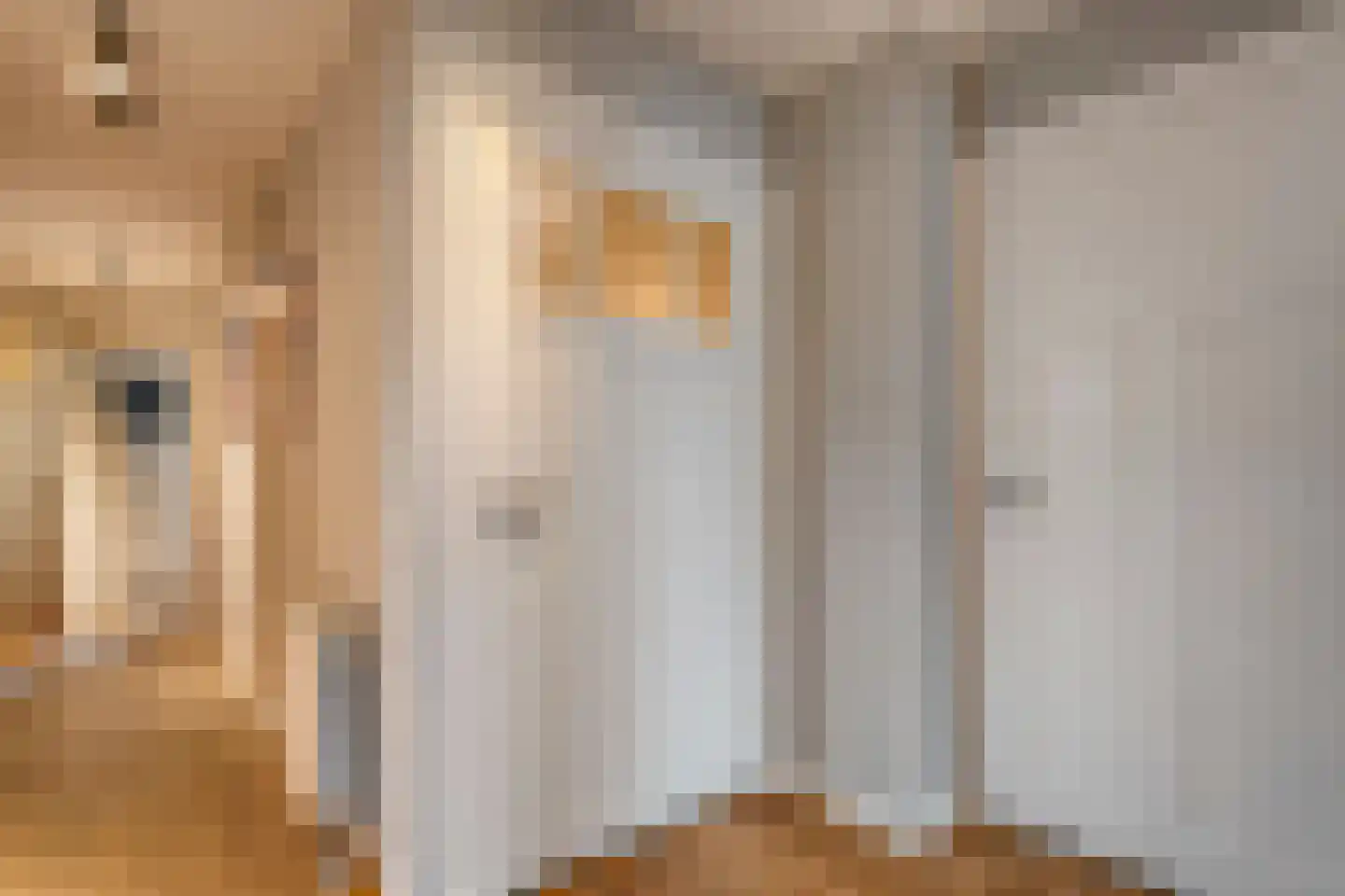 Herenstraat 114 Slagharen thumbnail 72