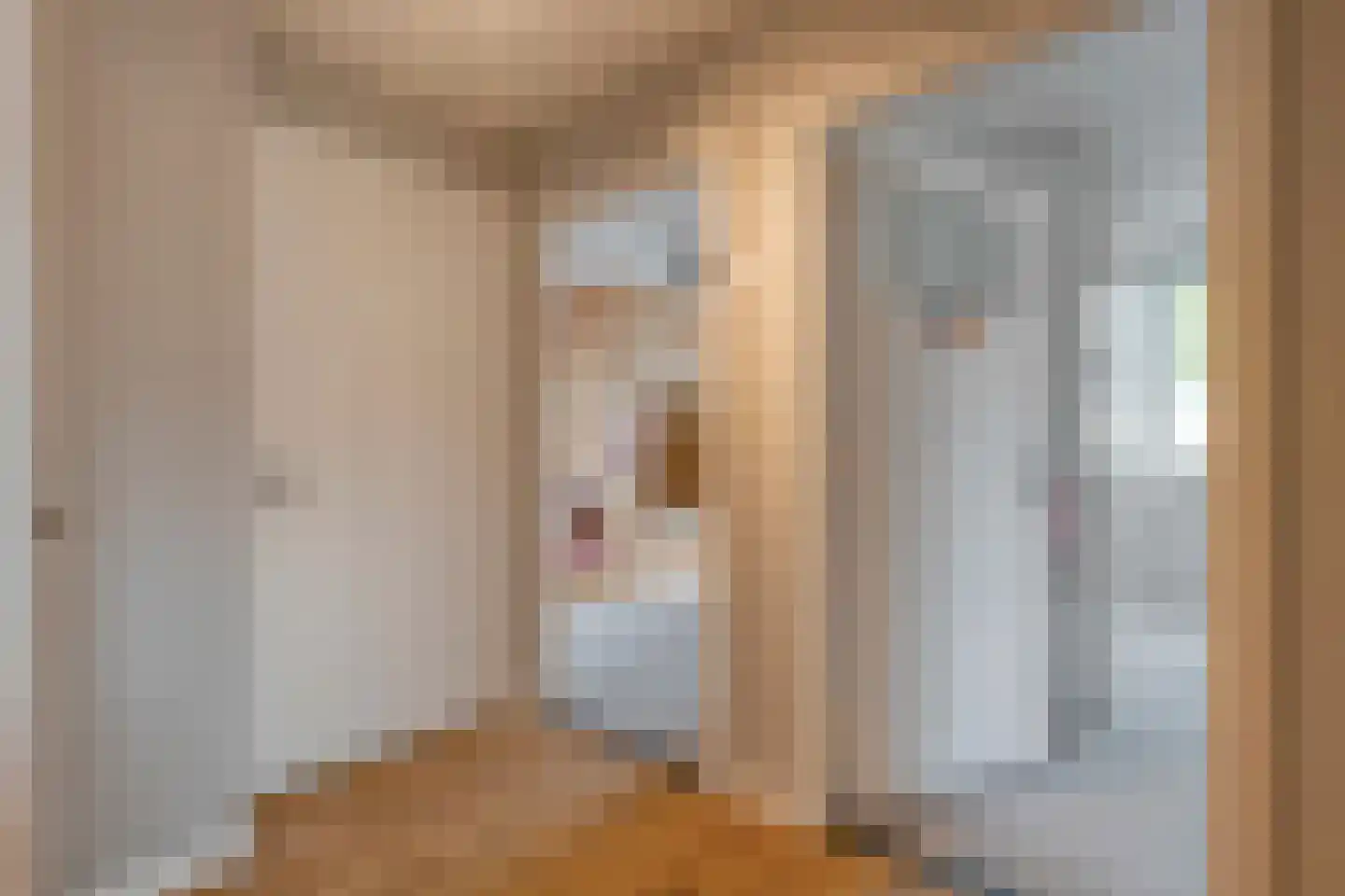 Herenstraat 114 Slagharen thumbnail 73
