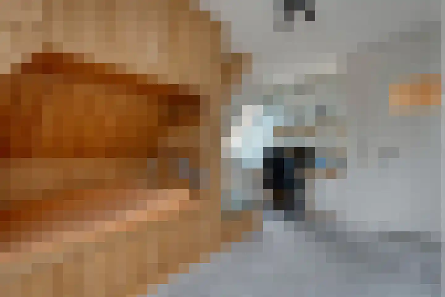 Herenstraat 114 Slagharen thumbnail 77
