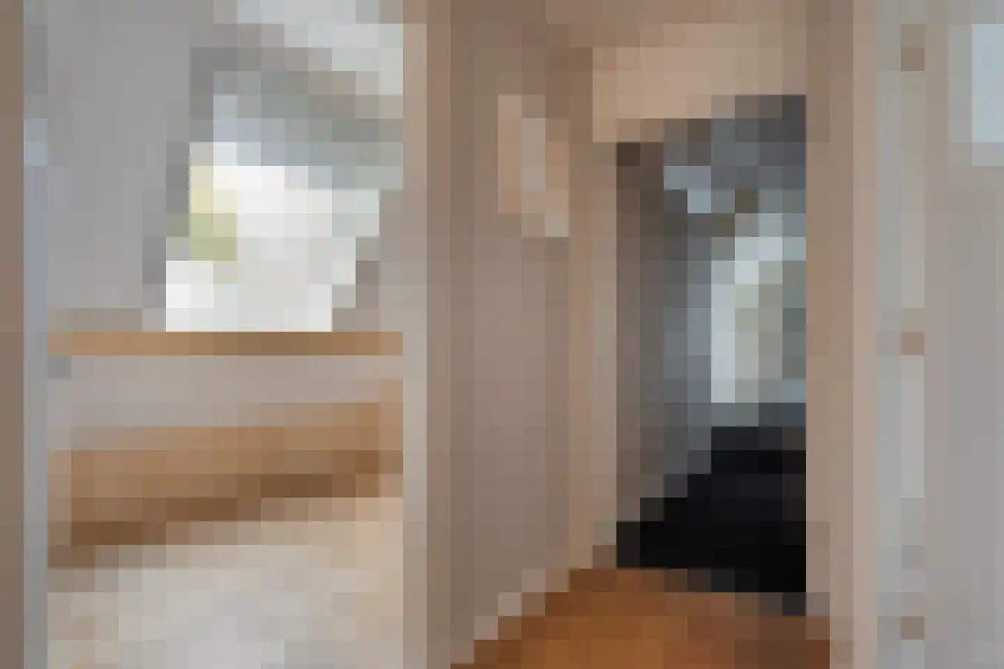 Herenstraat 114 Slagharen thumbnail 82