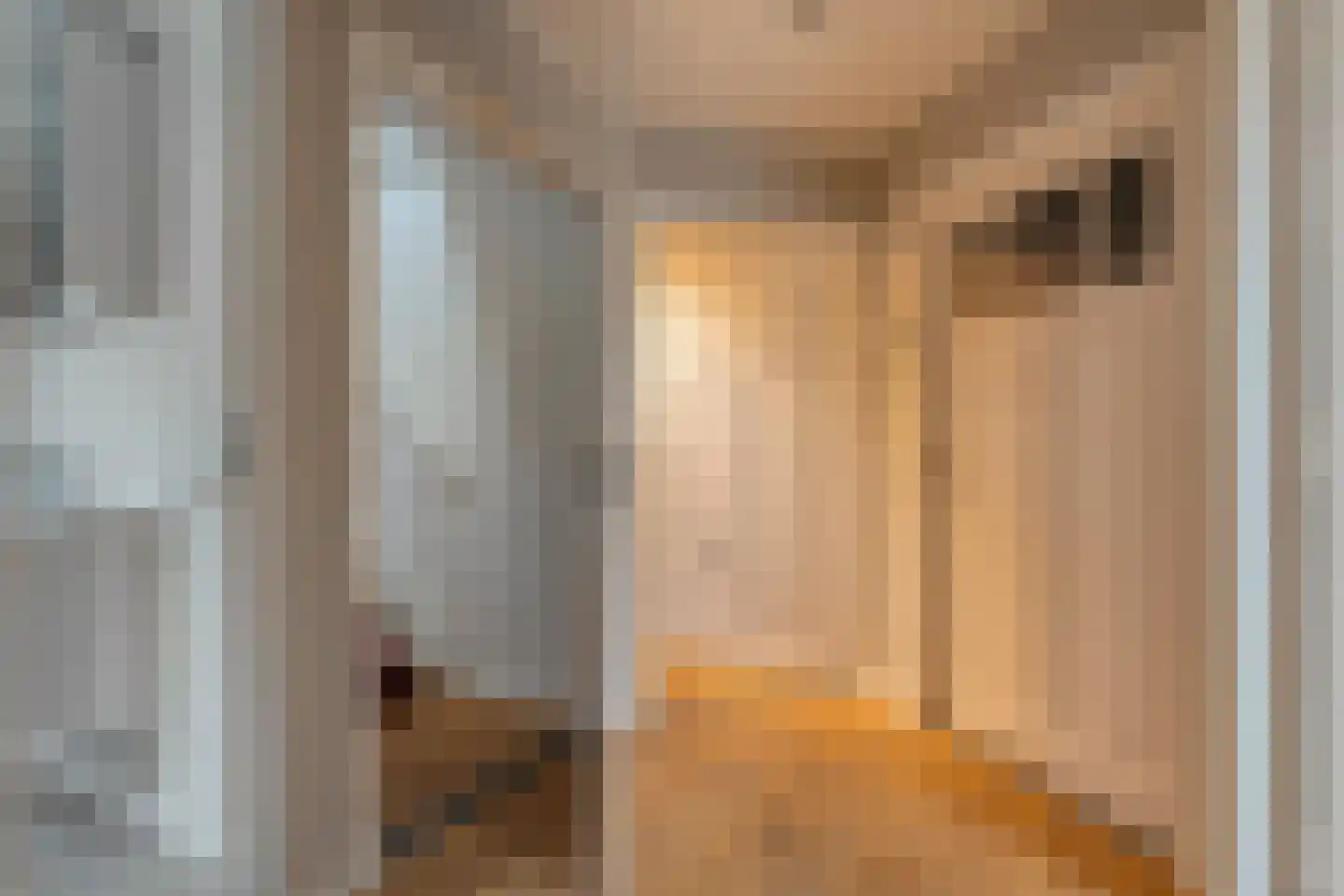 Herenstraat 114 Slagharen thumbnail 89