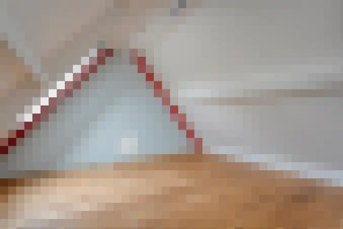 Herenstraat 114 Slagharen thumbnail 91