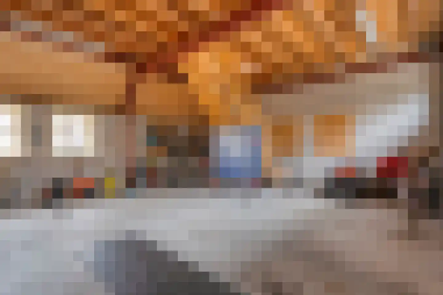 Herenstraat 114 Slagharen thumbnail 97