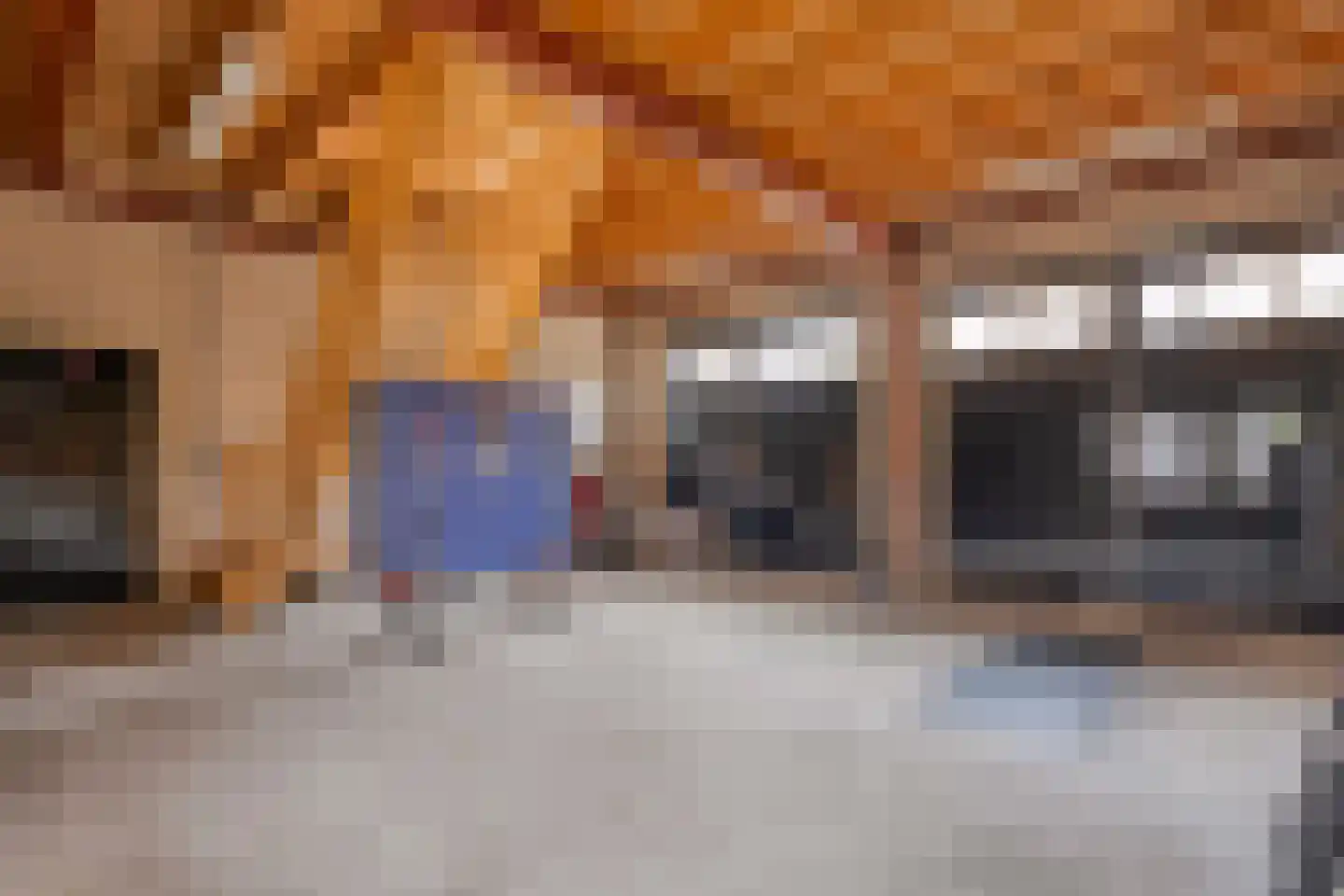 Herenstraat 114 Slagharen thumbnail 98
