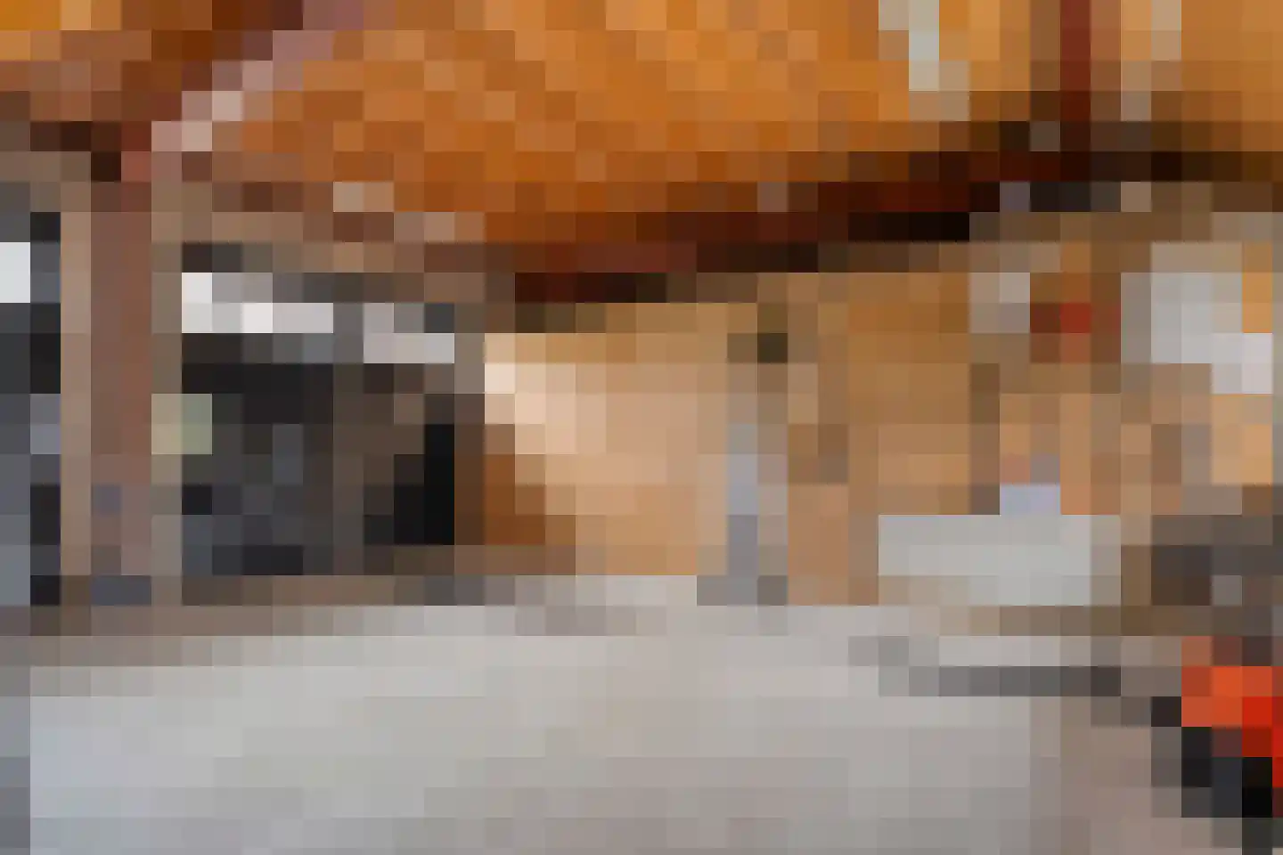Herenstraat 114 Slagharen thumbnail 99