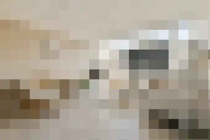 Herenstraat 12 a Voorhout thumbnail 33