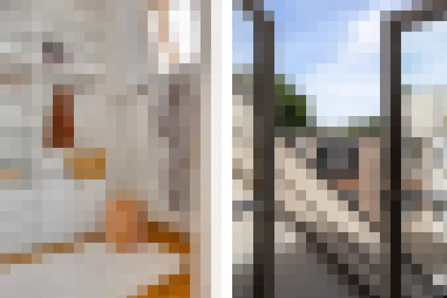 Herenstraat 12 B Utrecht thumbnail 15