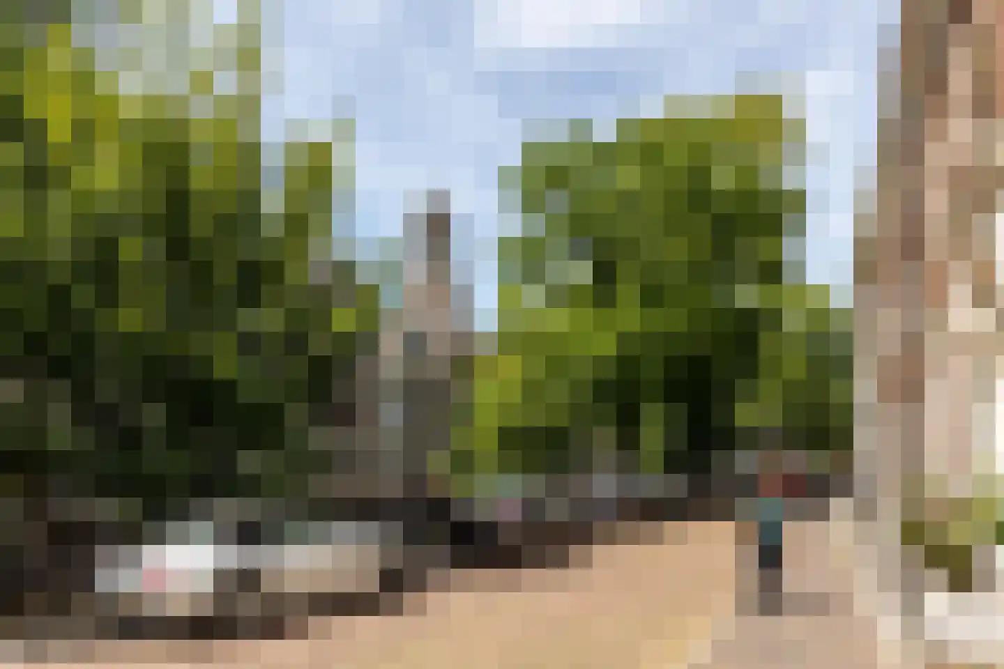 Herenstraat 12 B Utrecht thumbnail 4