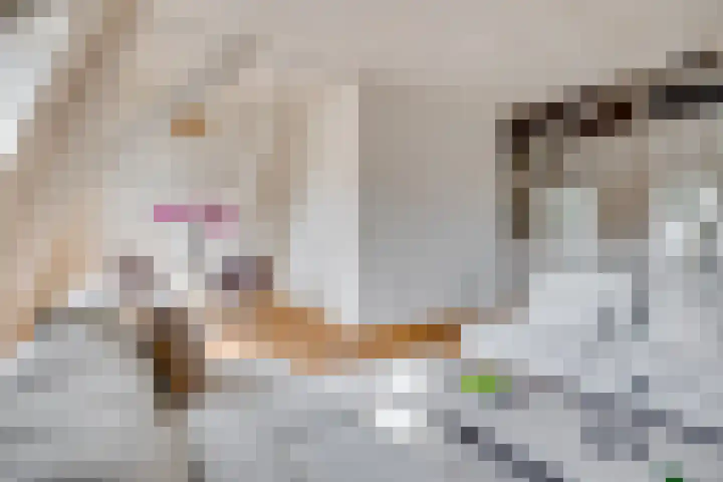 Herenstraat 12 B Utrecht thumbnail 9