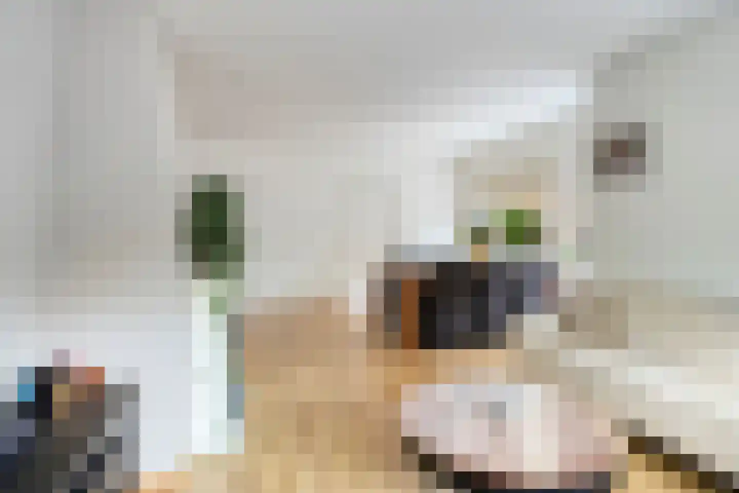 Herenstraat 12 Sappemeer thumbnail 16