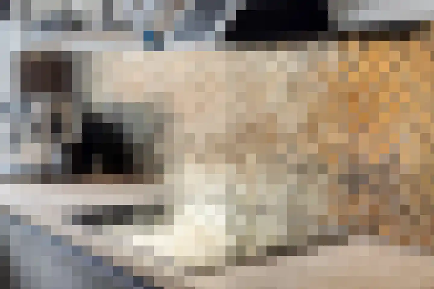 Herenstraat 12 Sappemeer thumbnail 23