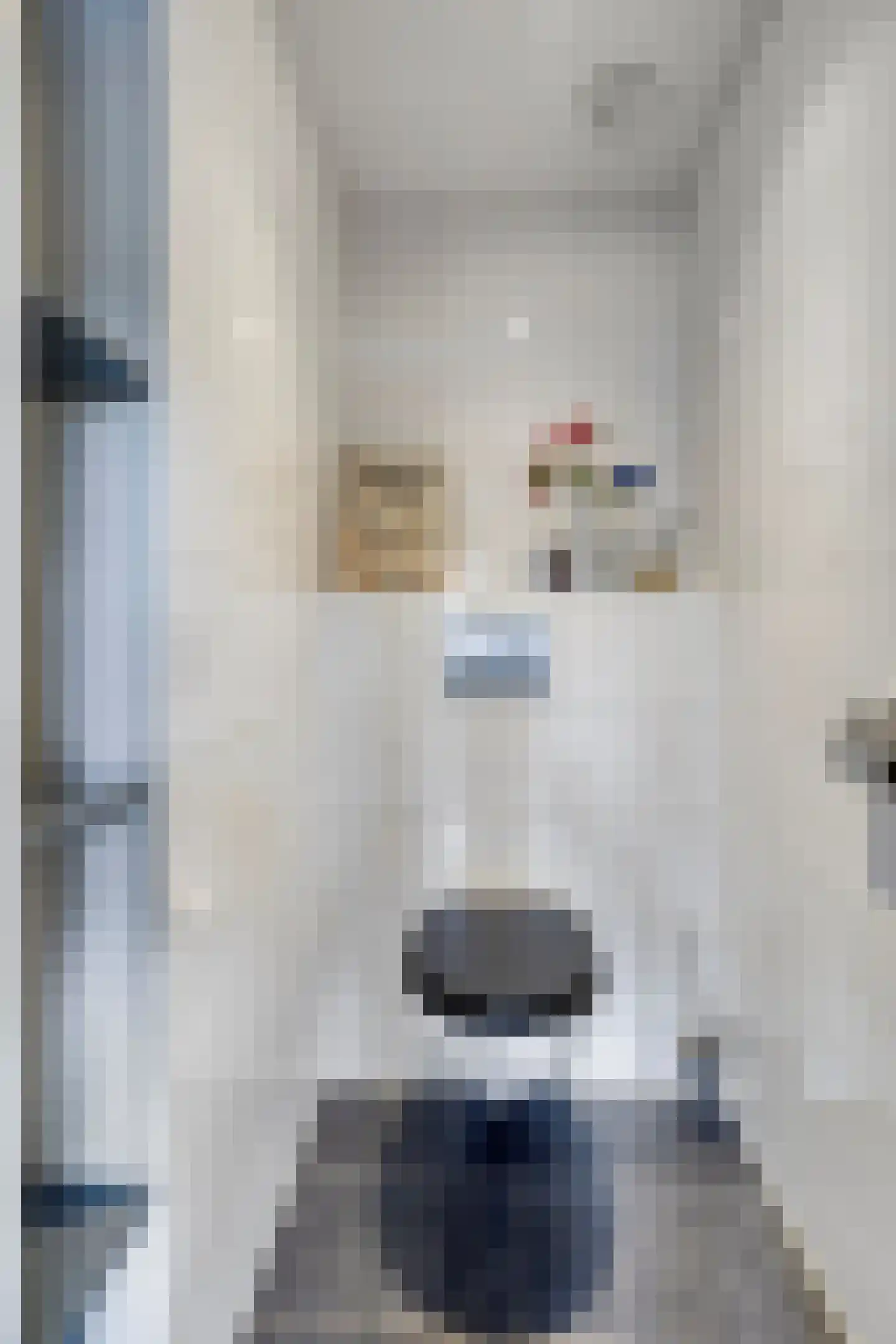 Herenstraat 12 Sappemeer thumbnail 32