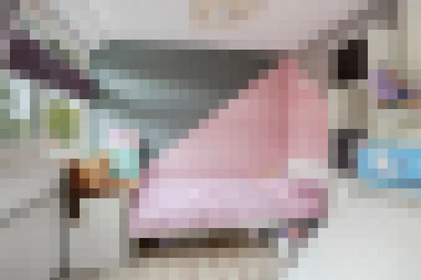 Herenstraat 12 Sappemeer thumbnail 39