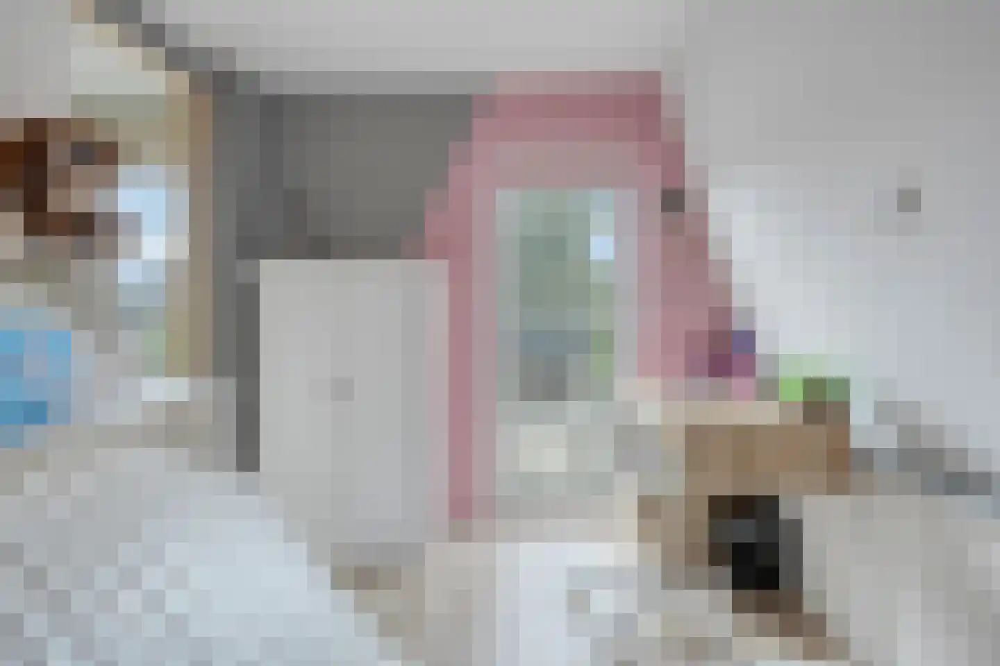 Herenstraat 12 Sappemeer thumbnail 40