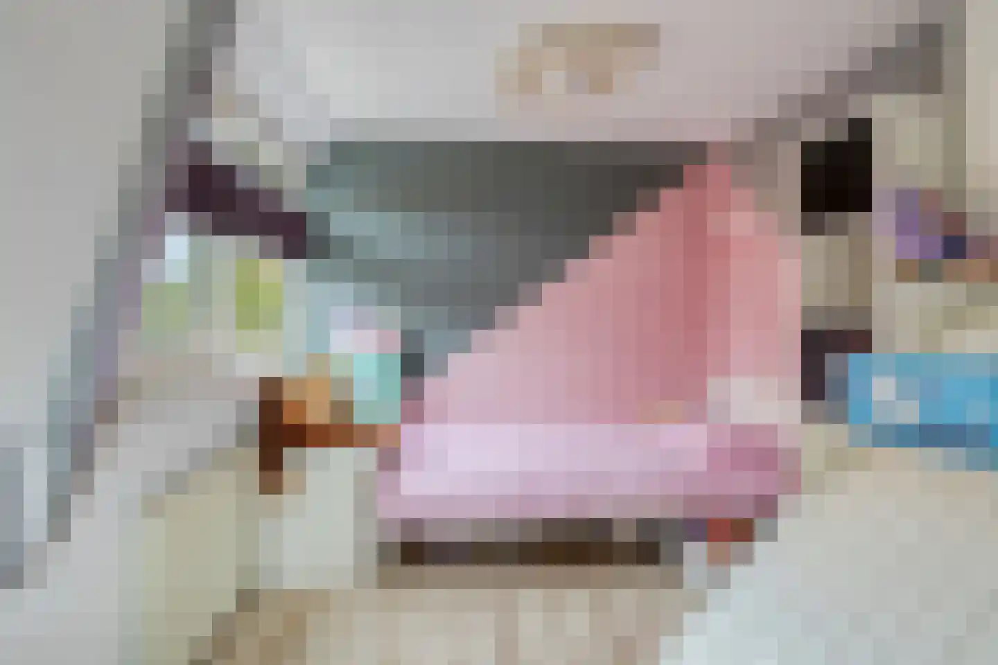 Herenstraat 12 Sappemeer thumbnail 41