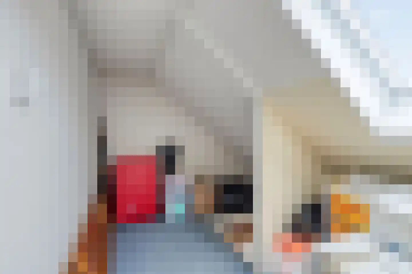 Herenstraat 12 Sappemeer thumbnail 43