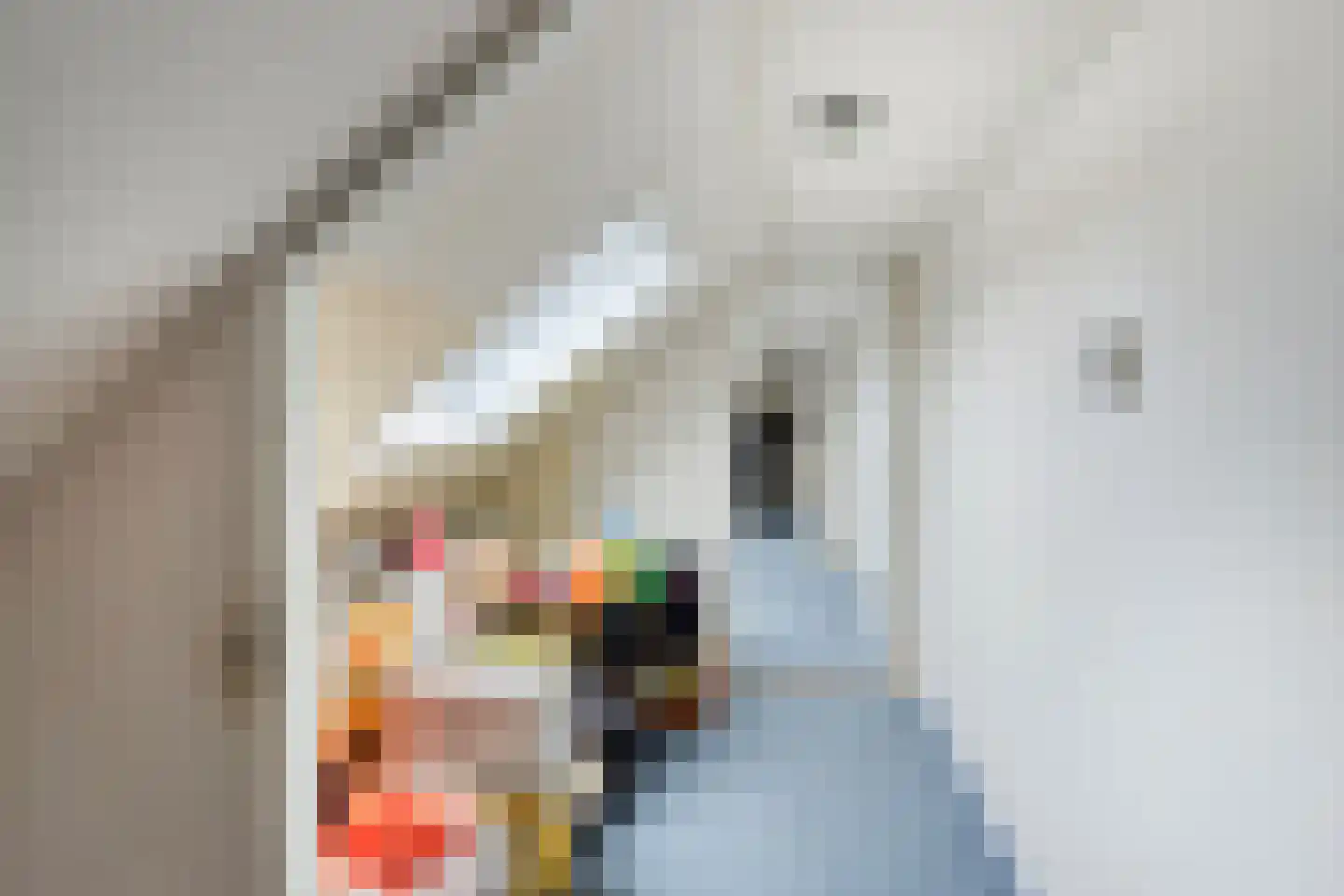 Herenstraat 12 Sappemeer thumbnail 44