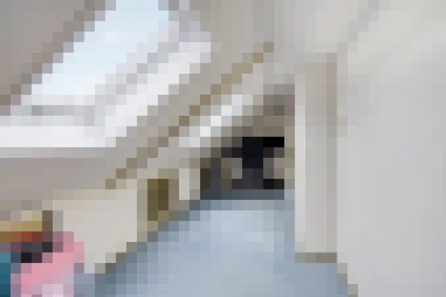 Herenstraat 12 Sappemeer thumbnail 45