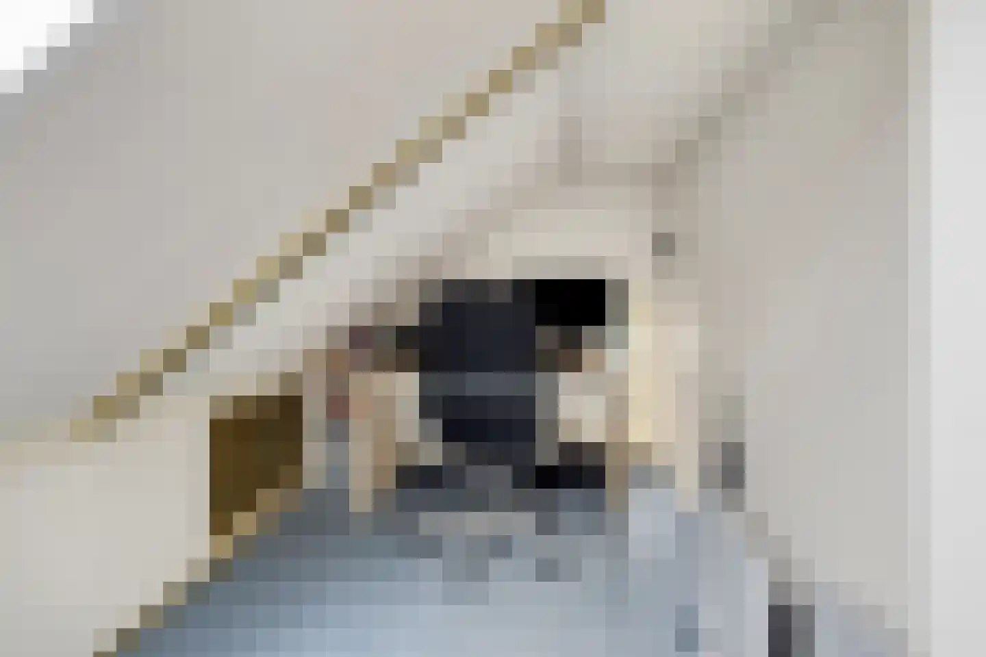 Herenstraat 12 Sappemeer thumbnail 46