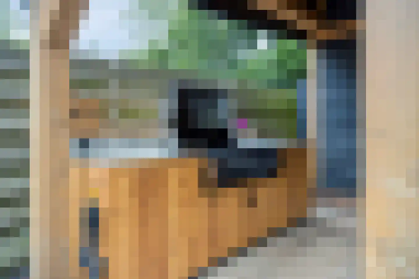 Herenstraat 12 Sappemeer thumbnail 55