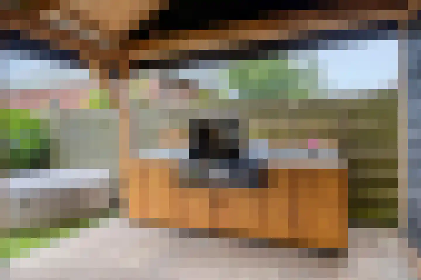 Herenstraat 12 Sappemeer thumbnail 56