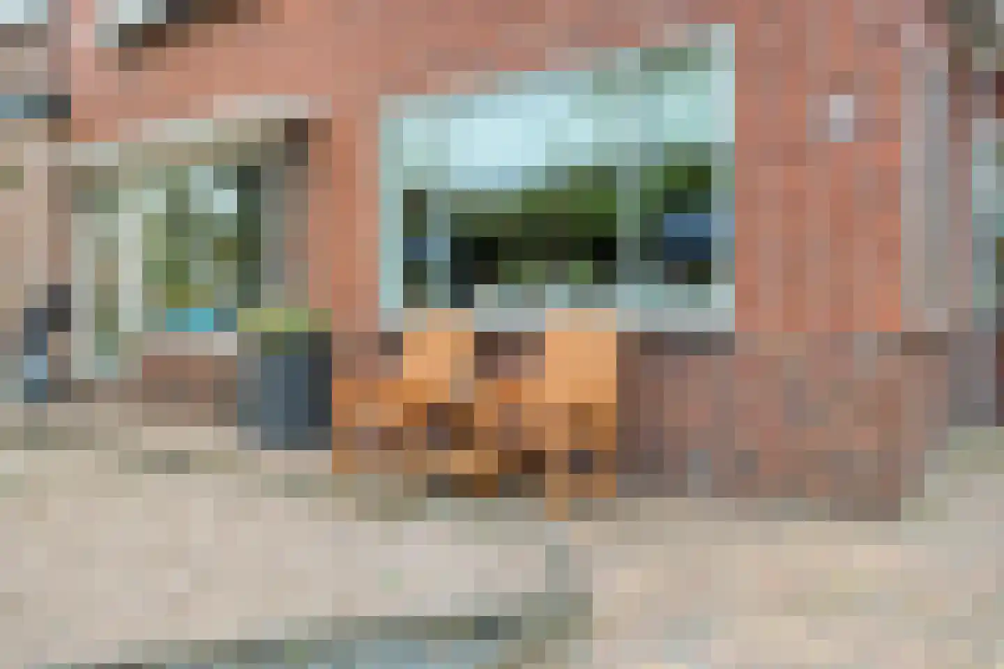 Herenstraat 12 Sappemeer thumbnail 60