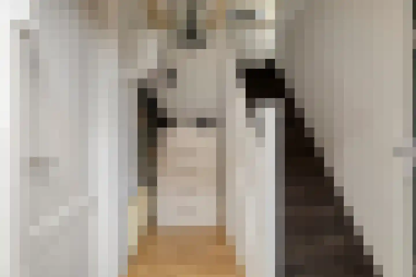 Herenstraat 12 Sappemeer thumbnail 9