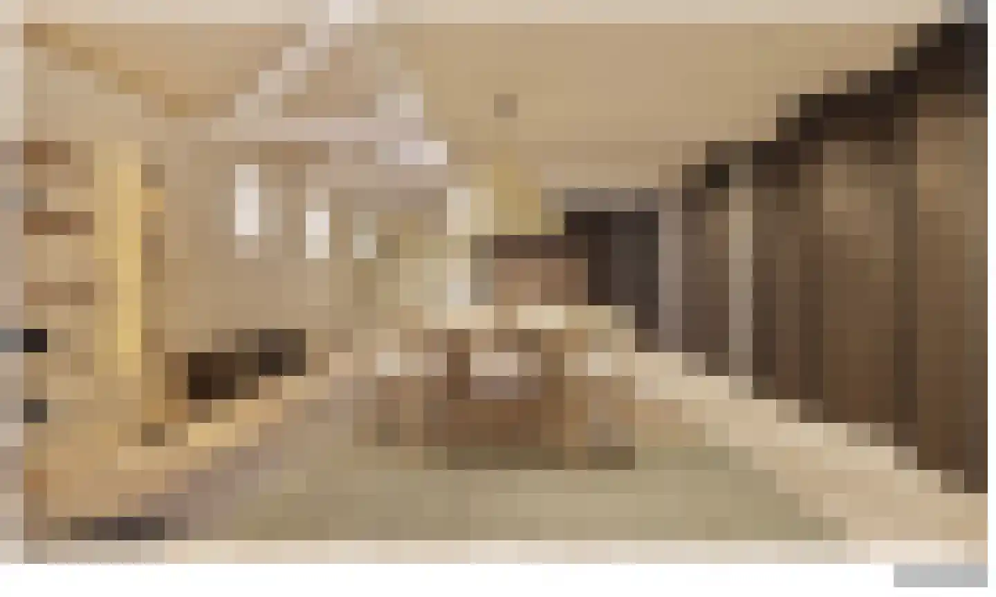 Herenstraat 12 Utrecht thumbnail 18