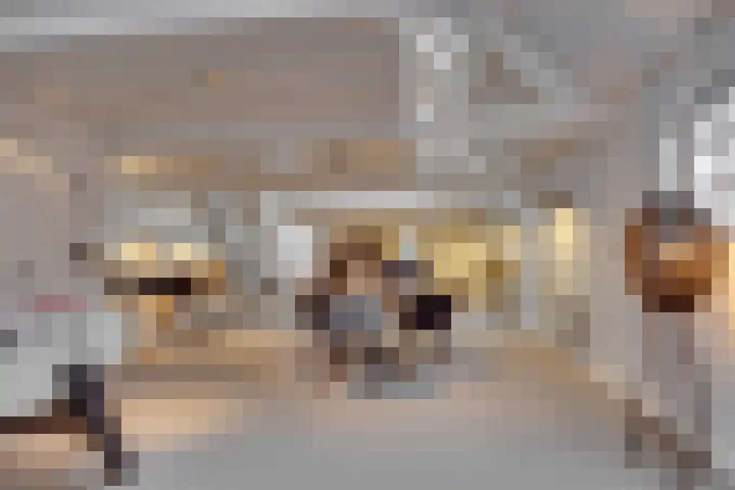 Herenstraat 12 Utrecht thumbnail 25