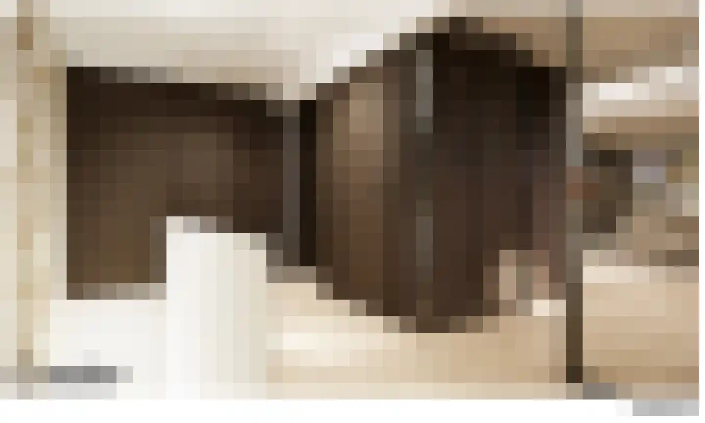 Herenstraat 12 Utrecht thumbnail 27