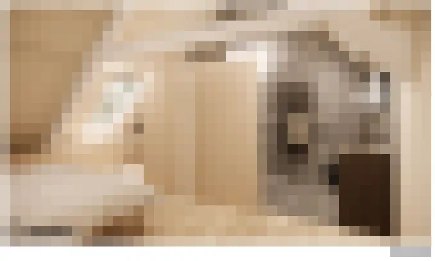 Herenstraat 12 Utrecht thumbnail 34