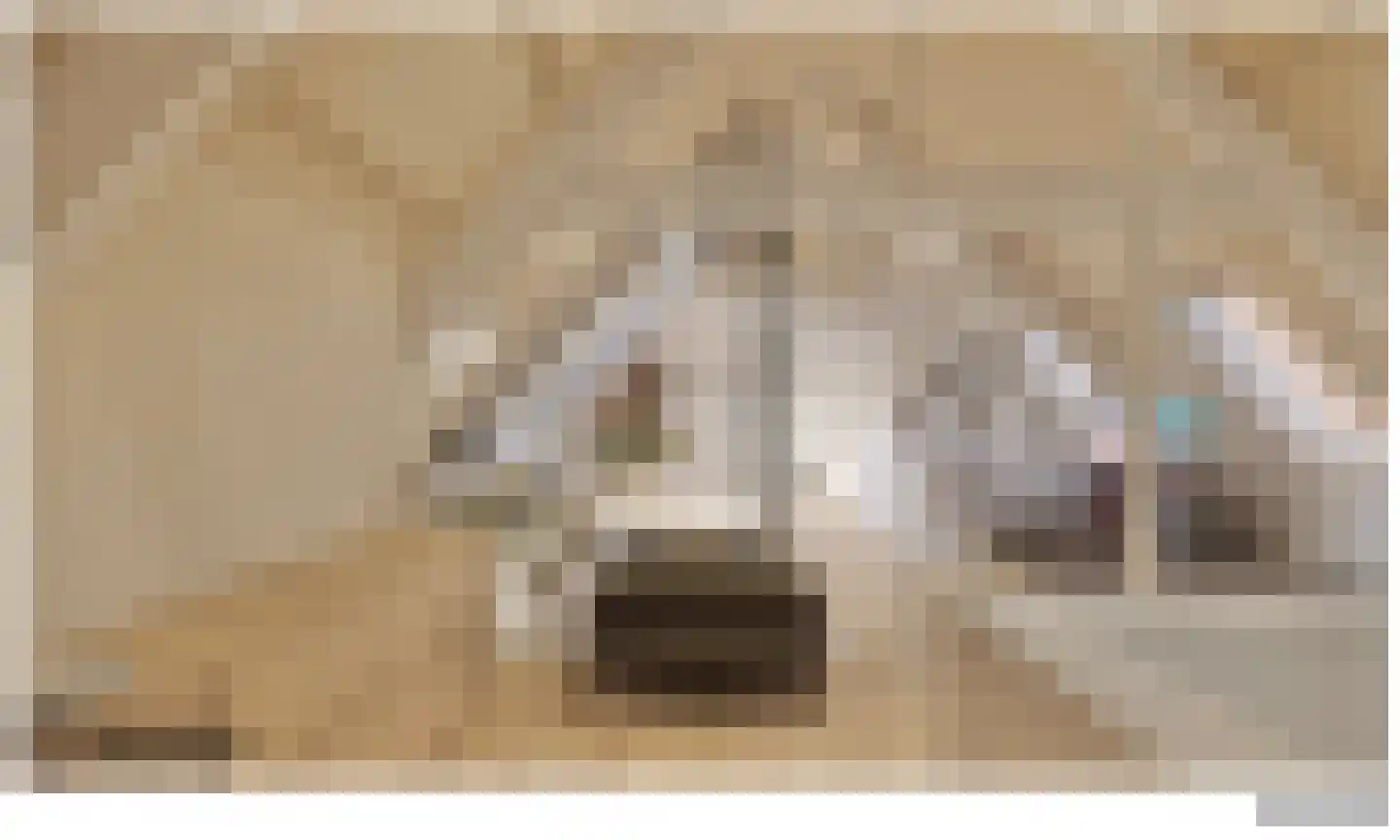 Herenstraat 12 Utrecht thumbnail 37