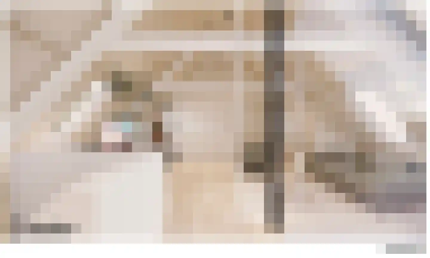 Herenstraat 12 Utrecht thumbnail 38