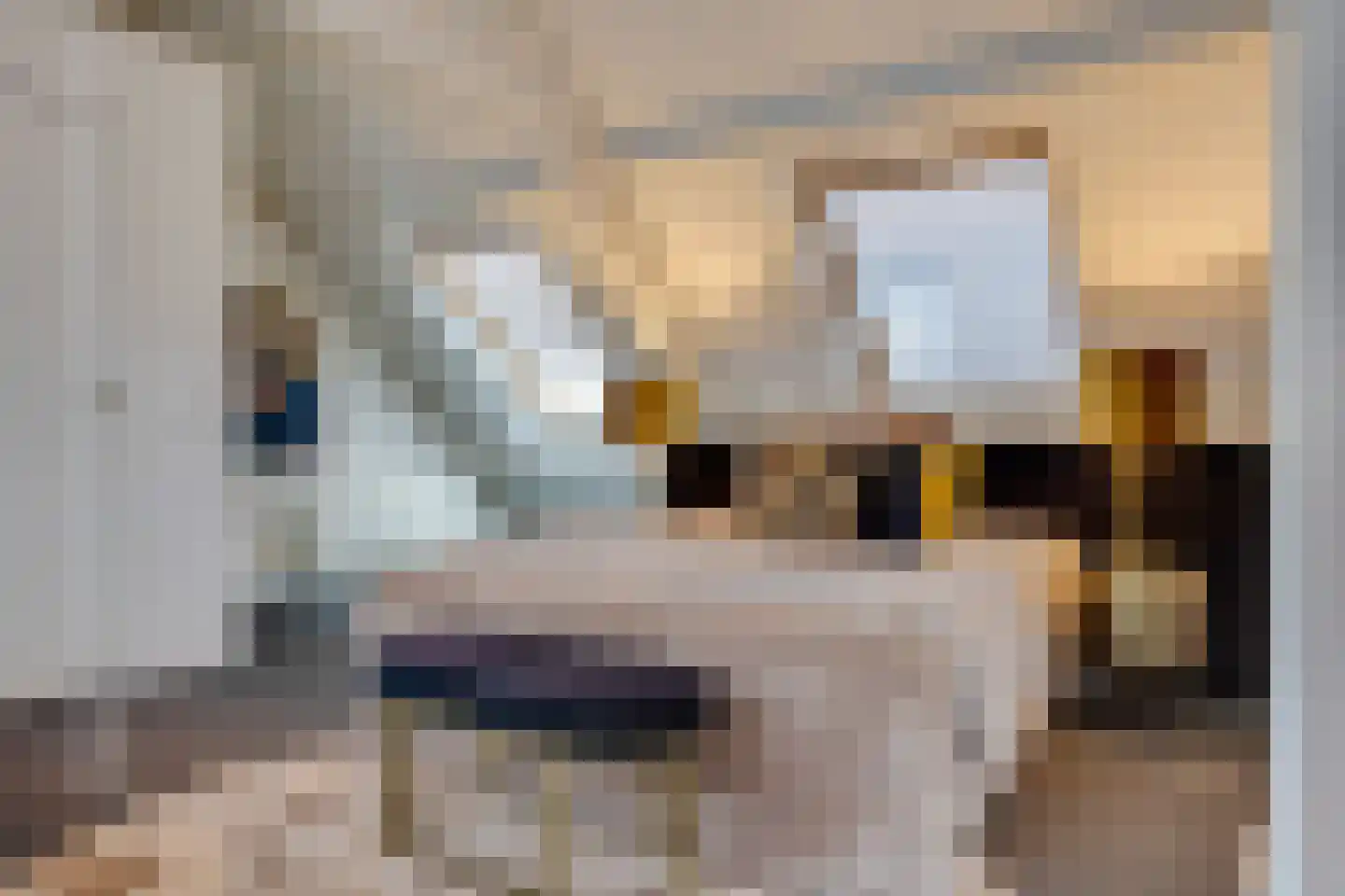Herenstraat 12 Utrecht thumbnail 40