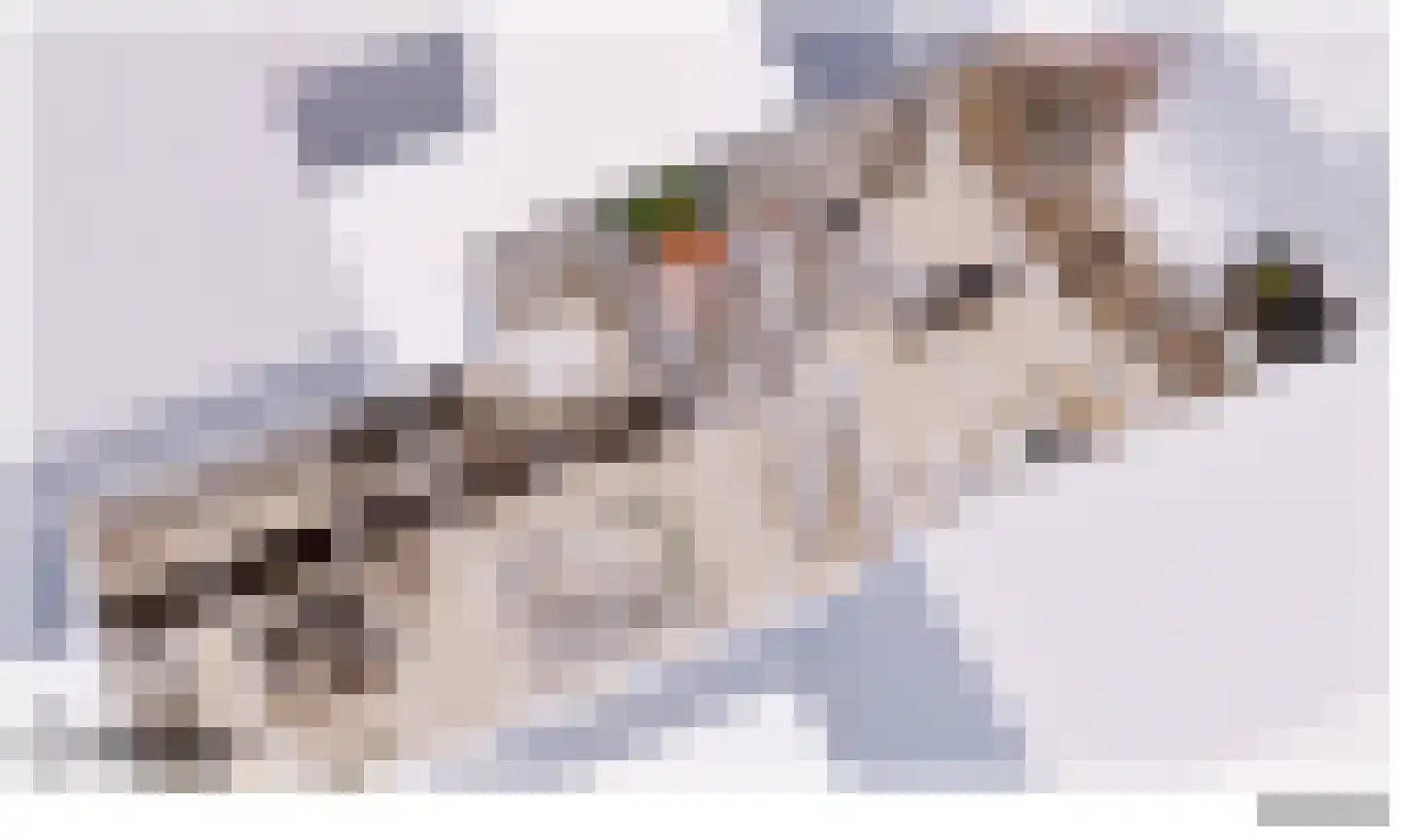 Herenstraat 12 Utrecht thumbnail 44