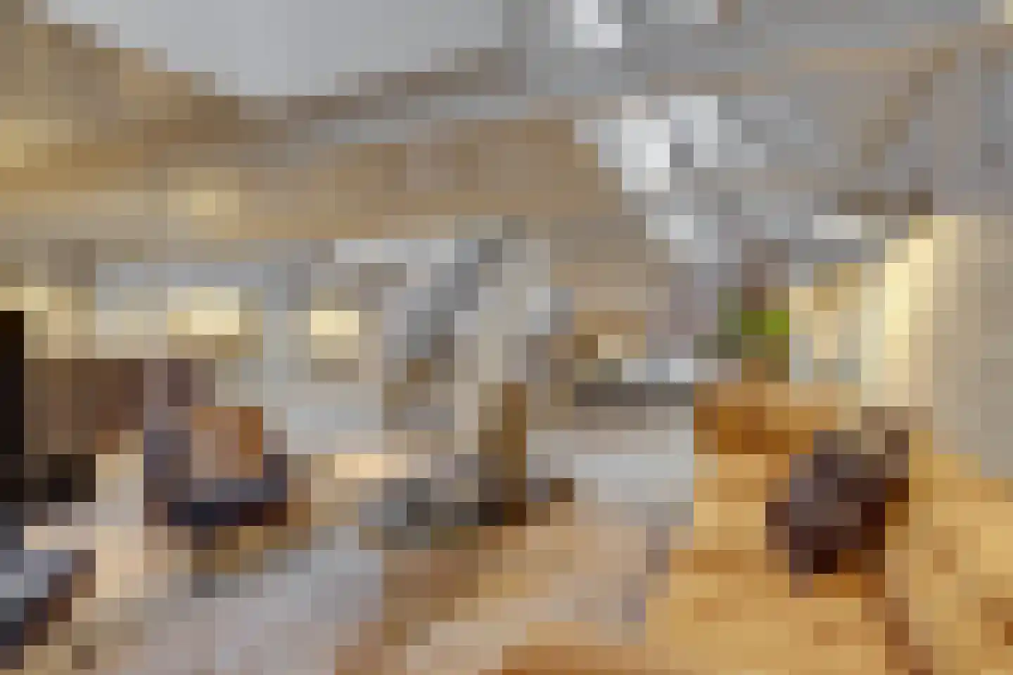 Herenstraat 12 Utrecht thumbnail 5