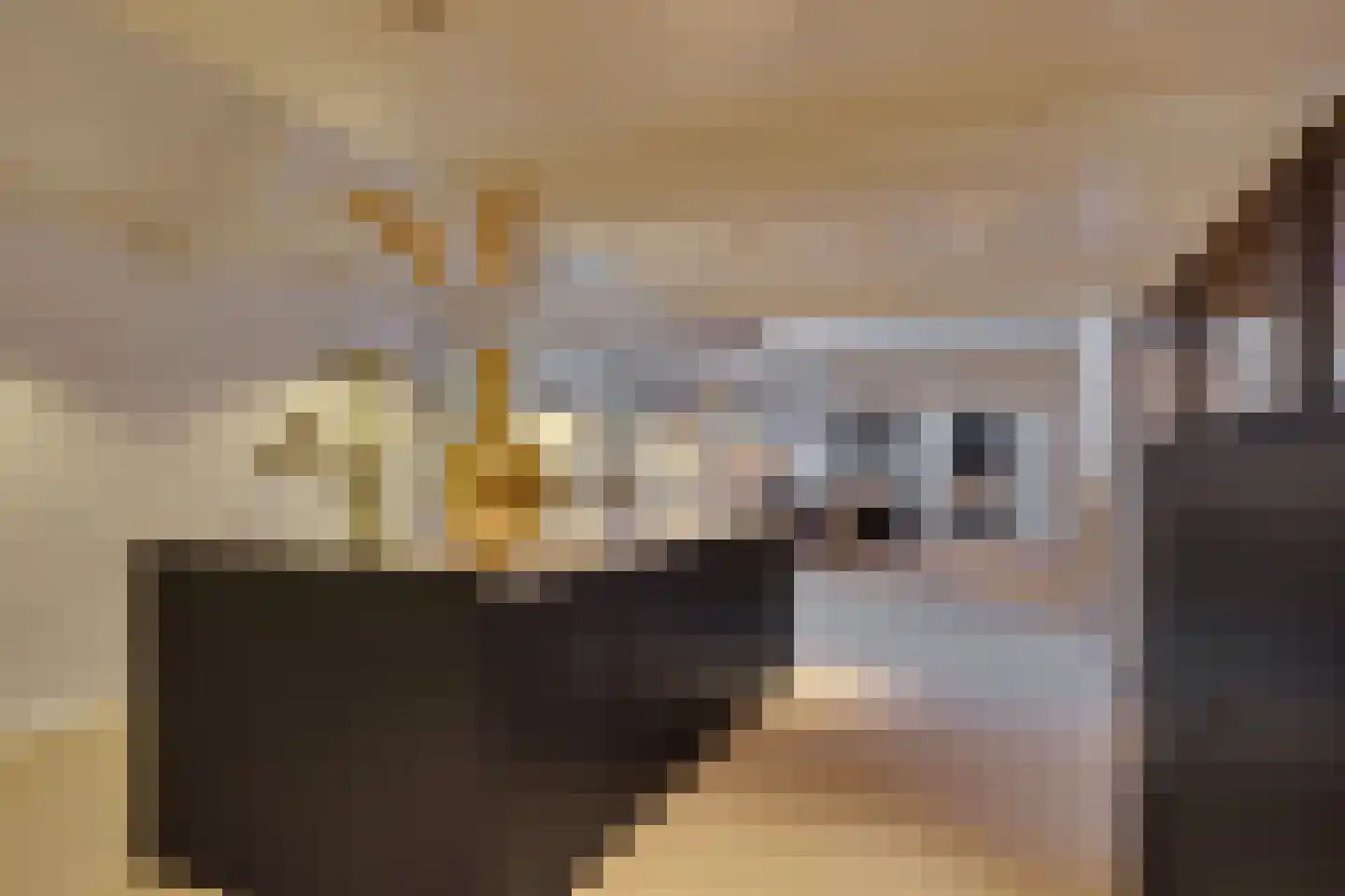 Herenstraat 12 Utrecht thumbnail 8