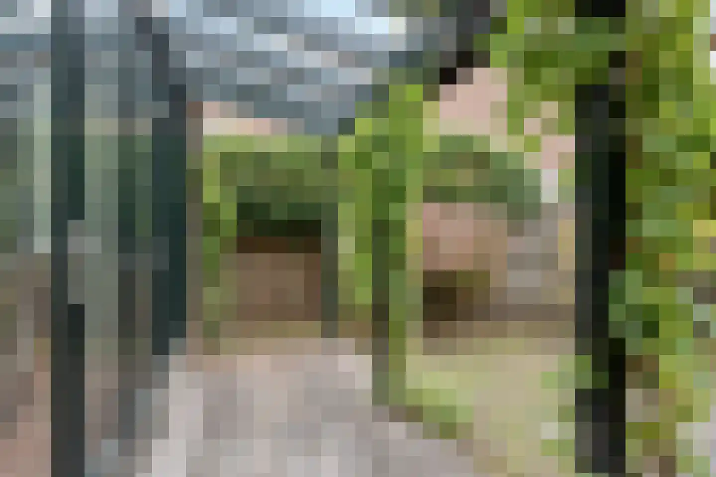 Herenstraat 120 Wateringen thumbnail 27