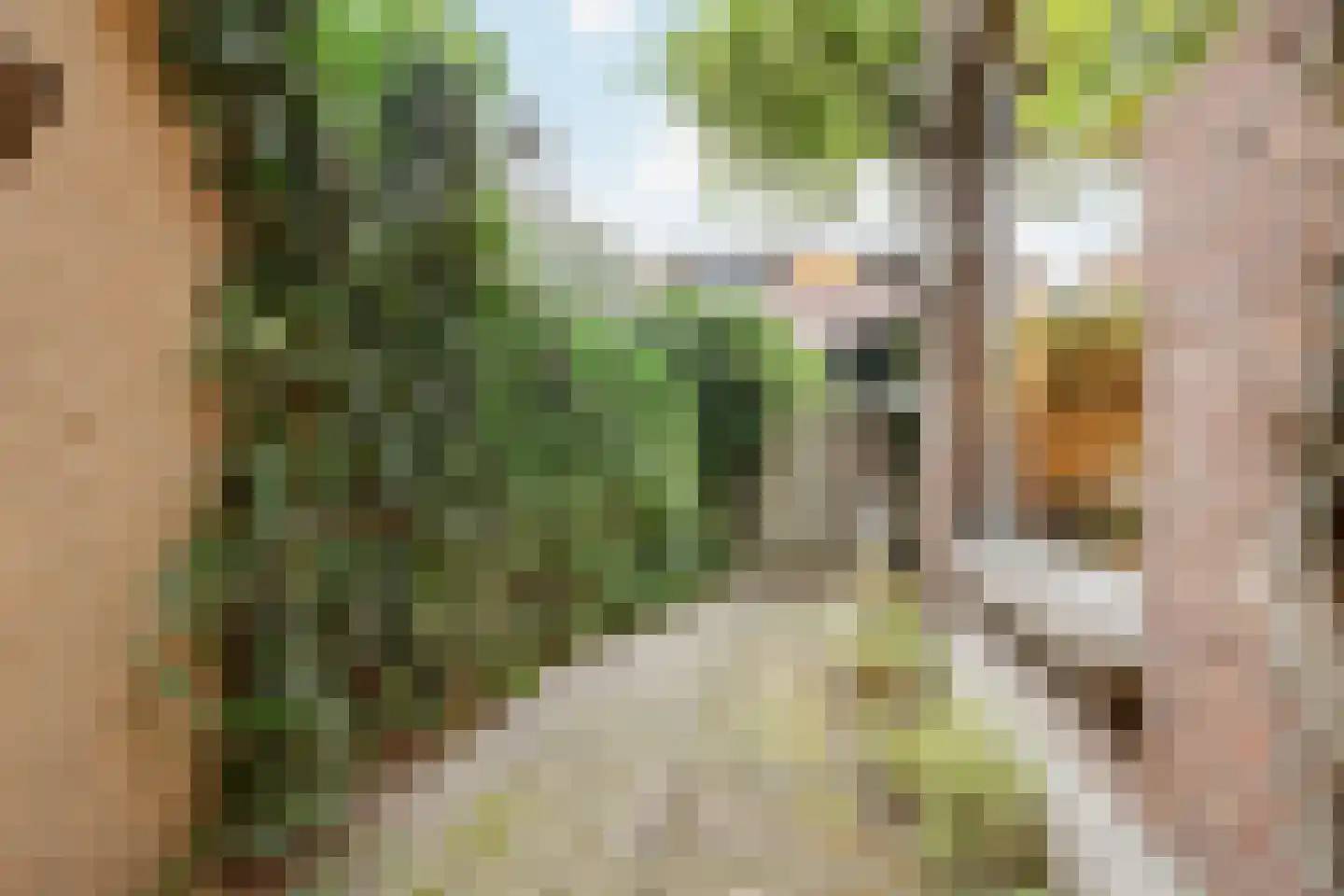 Herenstraat 120 Wateringen thumbnail 31