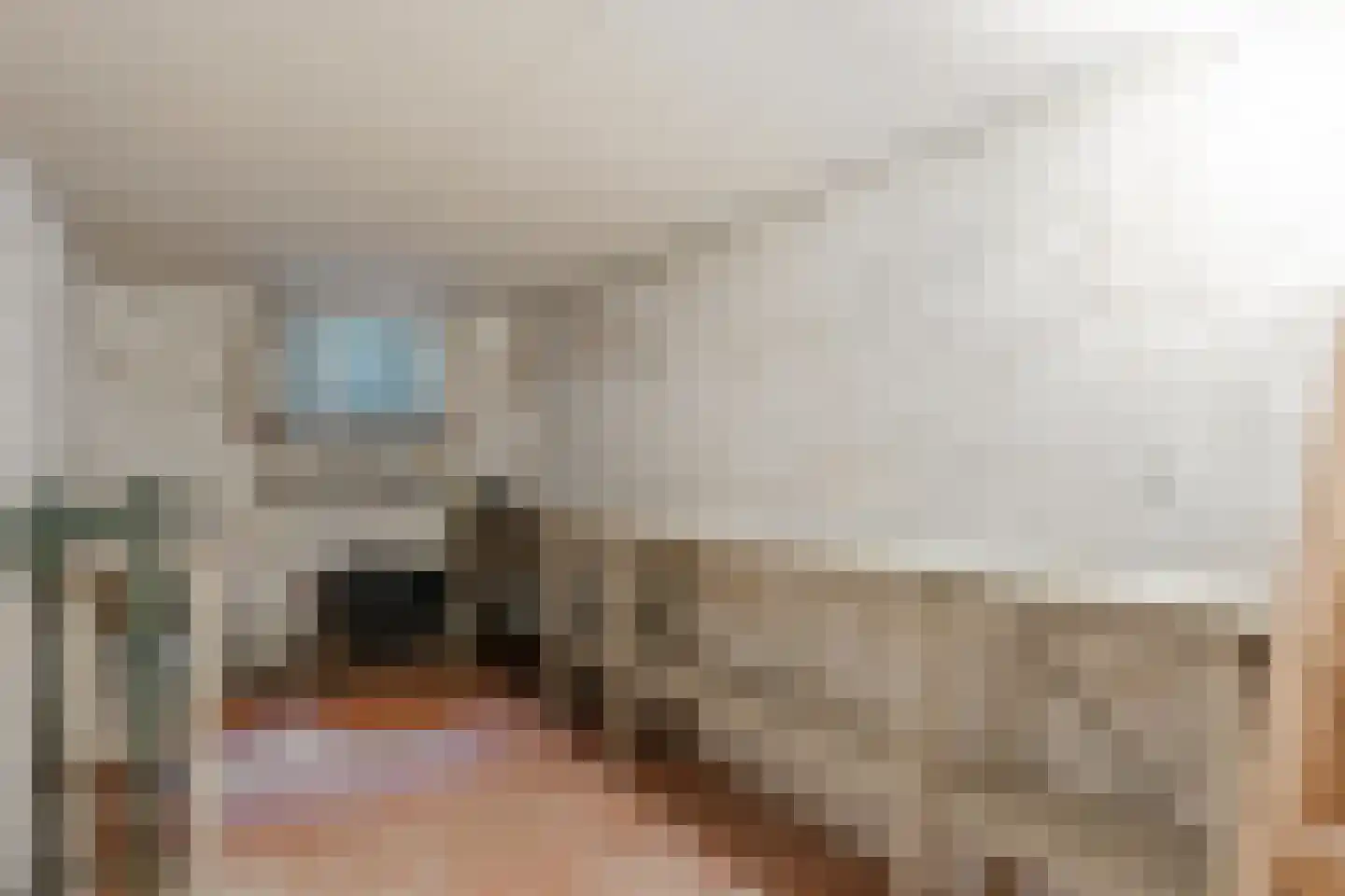 Herenstraat 120 Wateringen thumbnail 33