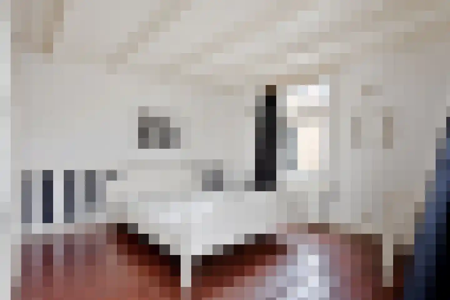 Herenstraat 120 Wateringen thumbnail 37