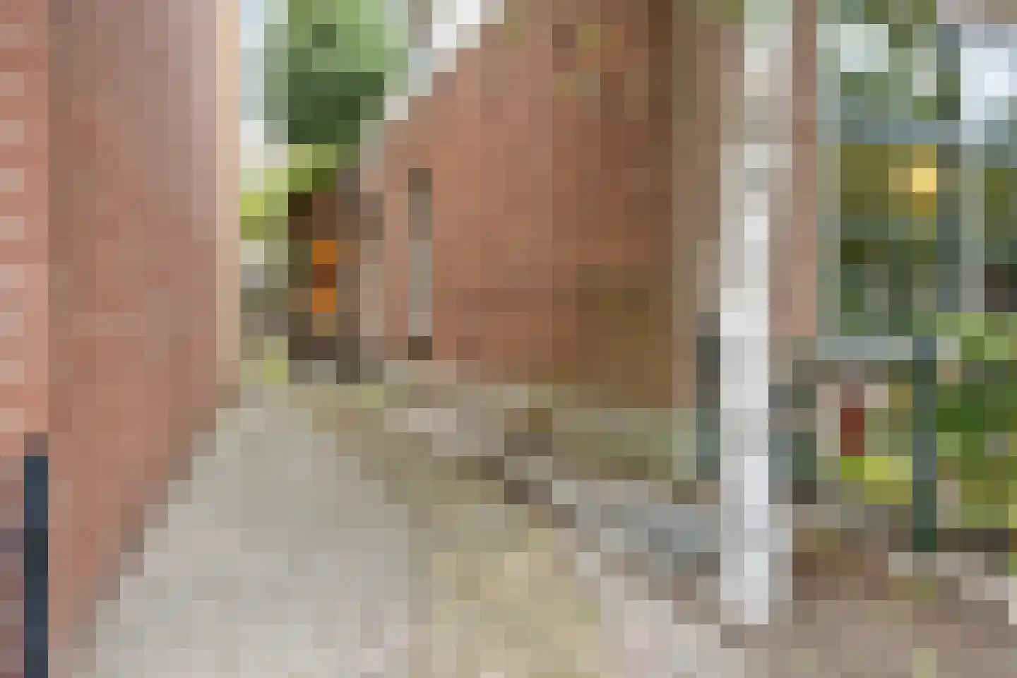 Herenstraat 120 Wateringen thumbnail 8
