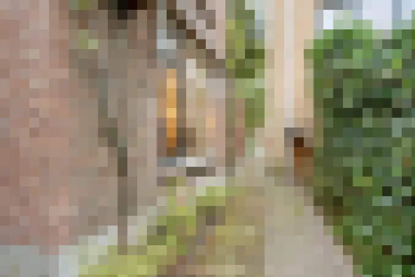 Herenstraat 120 Wateringen thumbnail 9