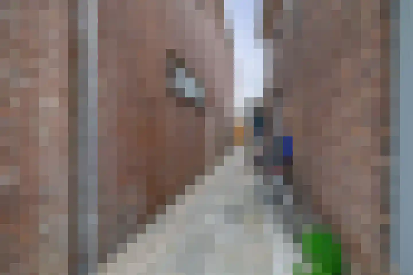 Herenstraat 122 c Voorhout thumbnail 21