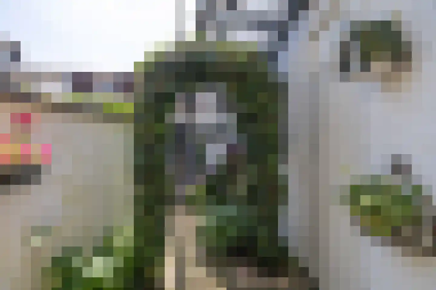 Herenstraat 13 Bussum thumbnail 10