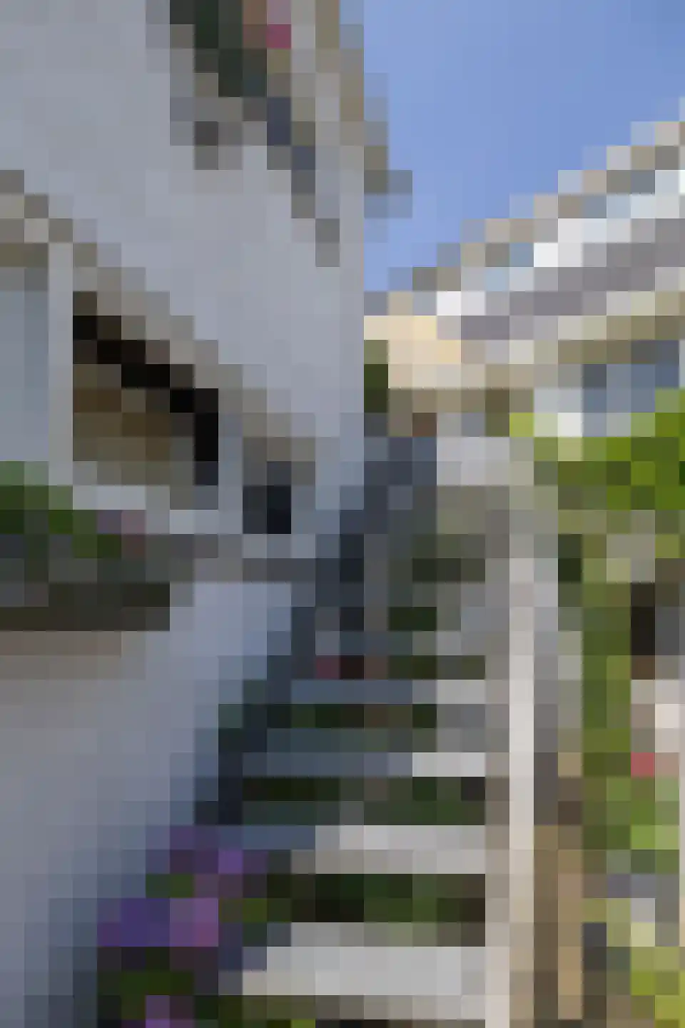Herenstraat 13 Bussum thumbnail 13