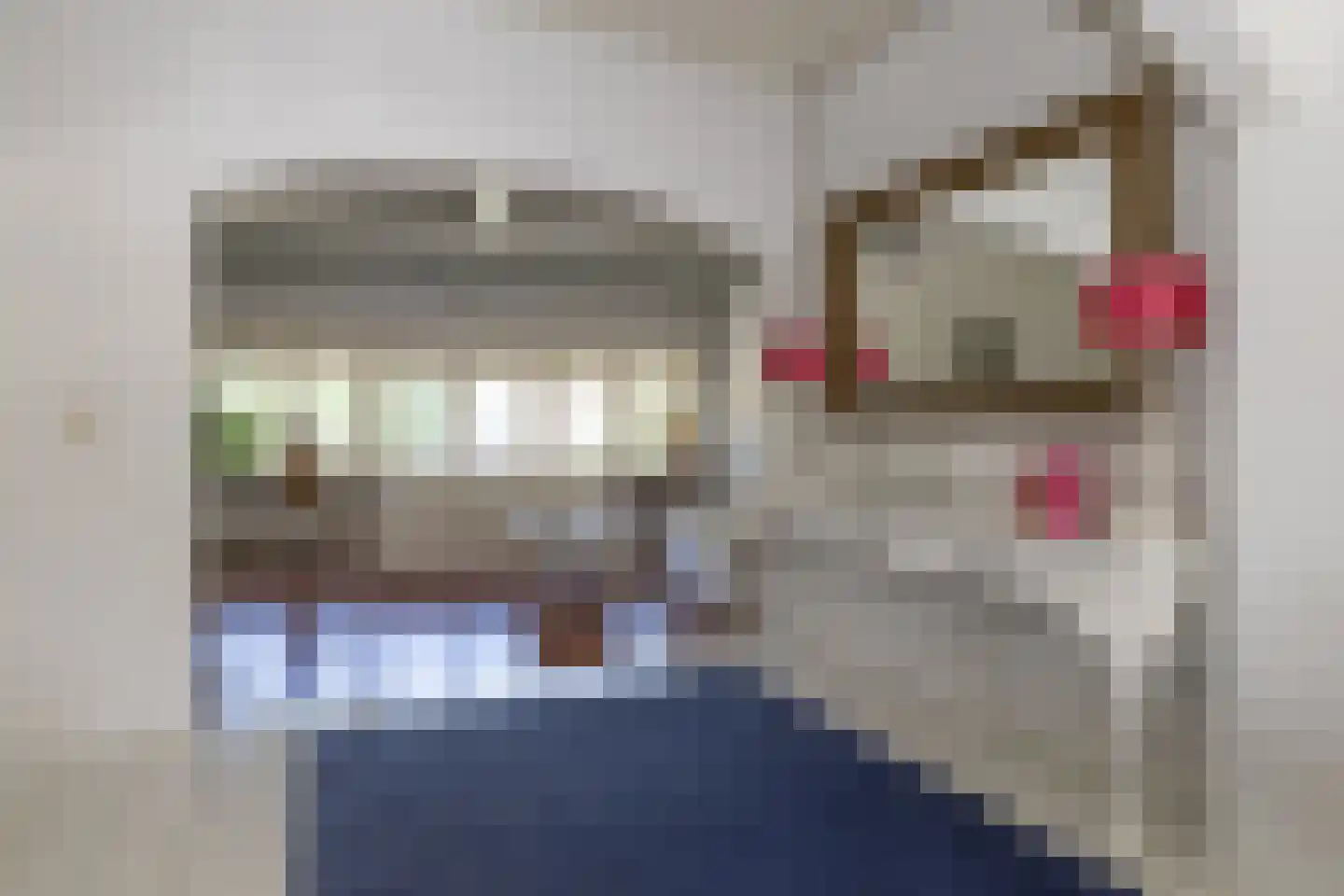 Herenstraat 13 Bussum thumbnail 17
