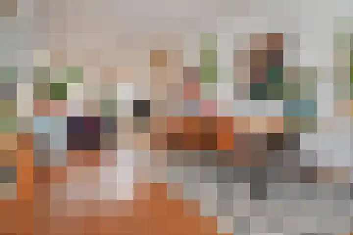Herenstraat 131 Voorburg thumbnail 22
