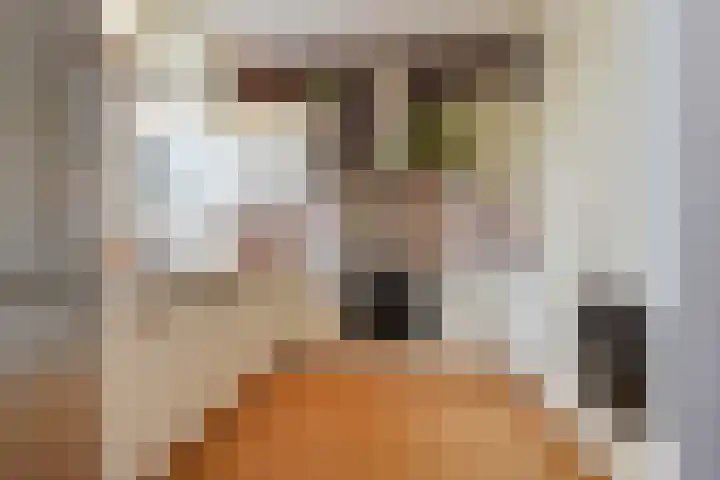Herenstraat 131 Voorburg thumbnail 33