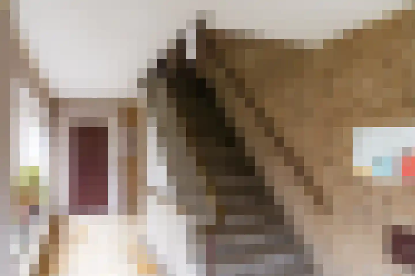 Herenstraat 135 Bussum thumbnail 19